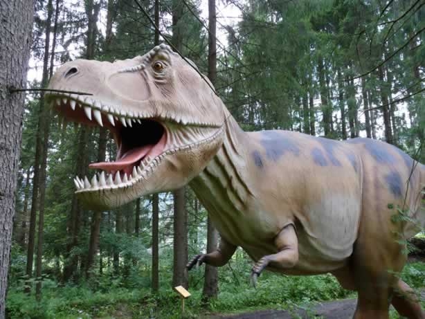 A Piovera rivive la Preistoria, continua “World of Dinosaurs”