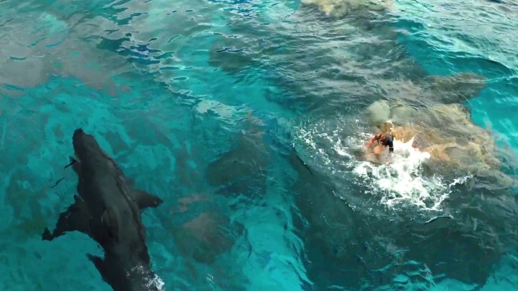Le novità al cinema dal 25 agosto