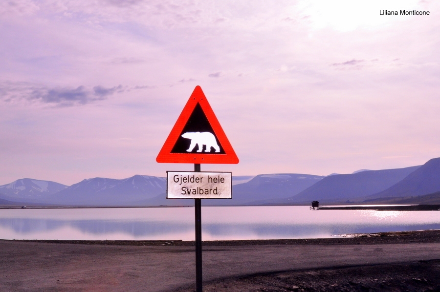 Consigli utili per viaggiare low cost: Isole Svalbard