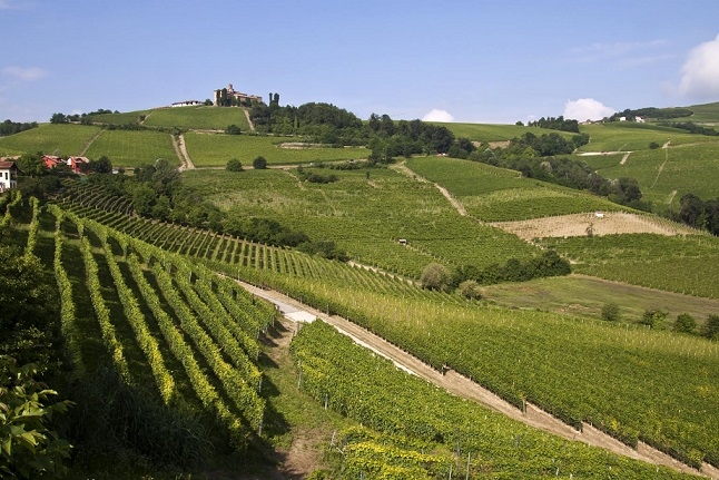 Alla scoperta dei sapori delle Langhe con la Mangialonga di La Morra
