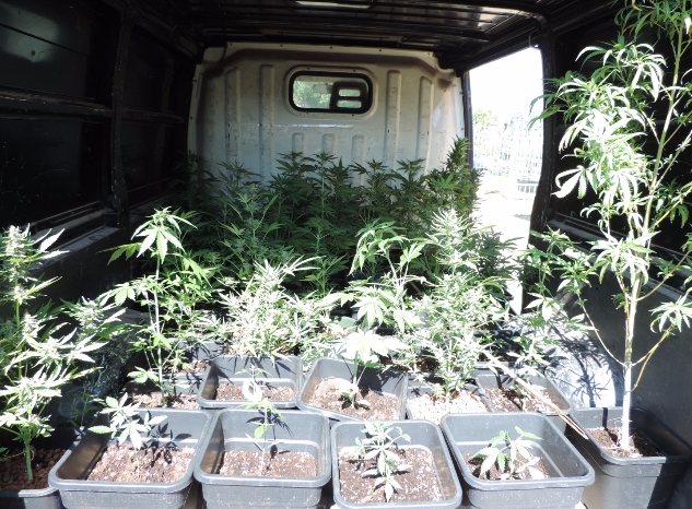 Hashish sotto la sella della moto e marijuana in casa: due persone arrestate dai Carabinieri