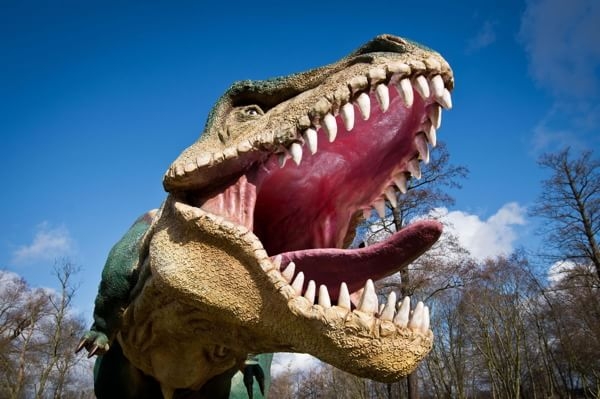 Piovera mette in mostra le fauci: prosegue la mostra “World of Dinosaurs”