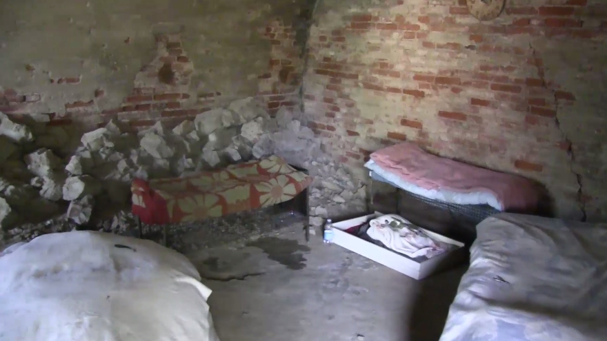 Un bastione della Cittadella trasformato in gattile: la storia di Monica