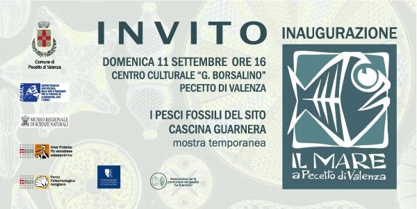 A Pecetto una volta c’era il mare. Al via la mostra: “I pesci fossili del sito Cascina Guarnera”
