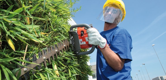 Chi non riesce a pagare le bollette potrà risarcire Alegas curando il verde cittadino