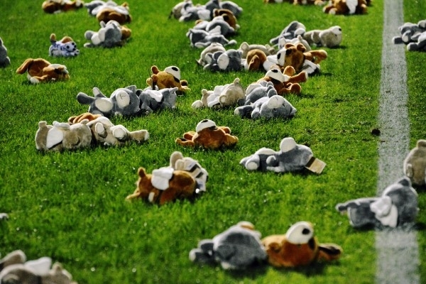 I pupazzetti del Grey Bear Toss consegnati anche negli asili nido di Alessandria