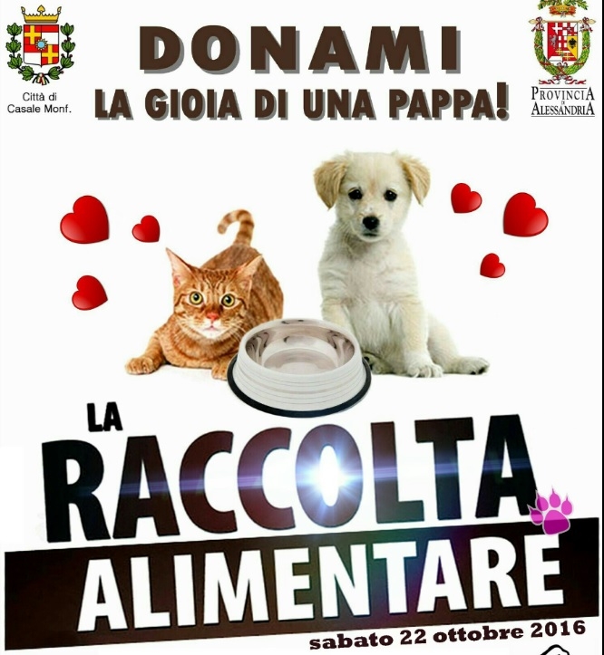 Anche a Casale sabato 22 ottobre la Raccolta Alimentare Animali