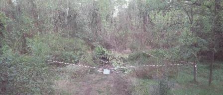 Rifiuti di attività edilizie abbandonati e nascosti in un bosco vicino Sezzadio: scoperti i responsabili