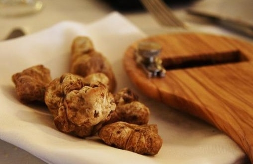 Sapori e profumi d’autunno, a Sardigliano è l’ora della Fiera del Tartufo