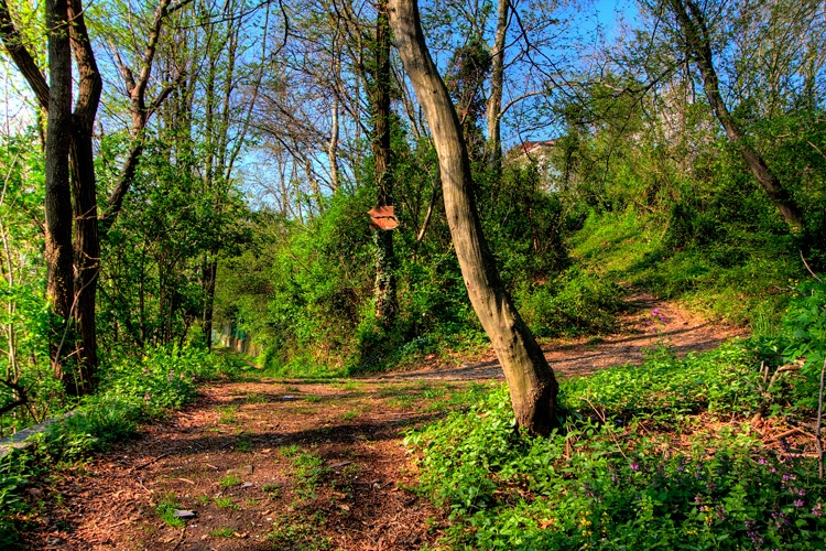 “Camminare in Monferrato” fa tappa ad Odalengo Piccolo