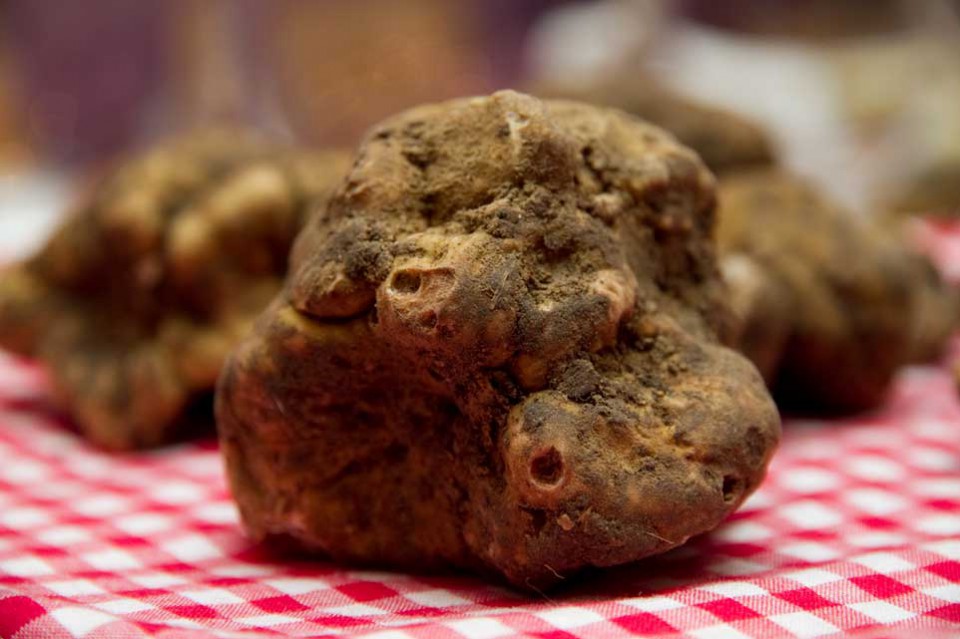 Il profumo di tartufo inebria la domenica. Ma non dimenticate i ceci e i tanti eventi