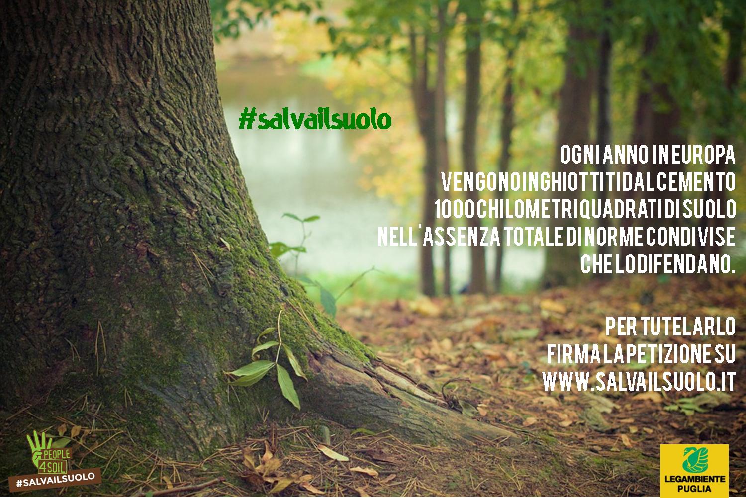 Iniziative in tutto il Piemonte per la festa dell’Albero 2016