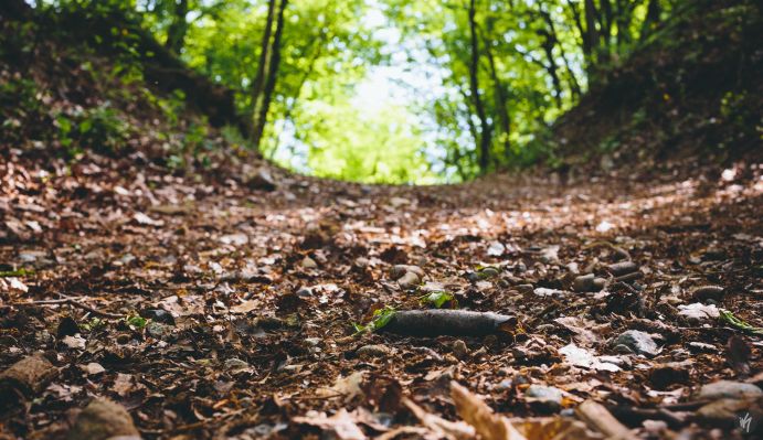 Al via a Pozzengo la “Caccia ai tesori del Monferrato”