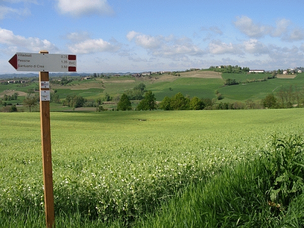 Alla scoperta dei luoghi del tartufo con “Camminare il Monferrato”
