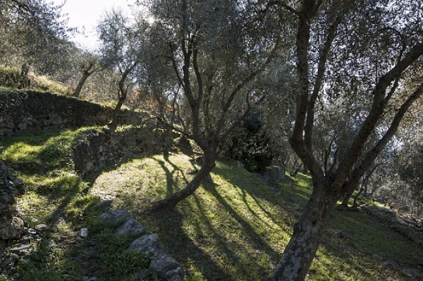 Escursione sulle alture di Zoagli con il Cai di Valenza