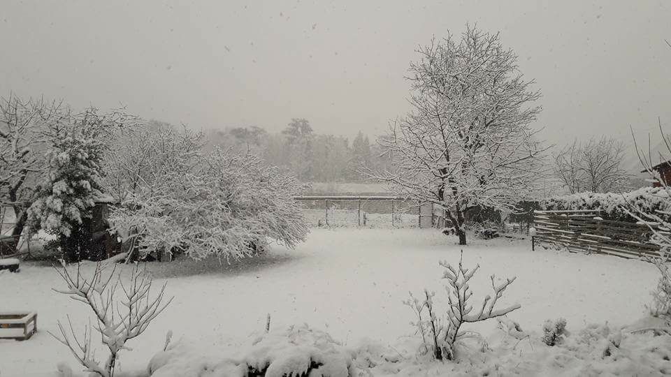 Le vostre foto della nevicata sulla provincia di Alessandria