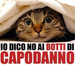 A Casale vietato accendere “botti” o petardi per festeggiare il nuovo anno