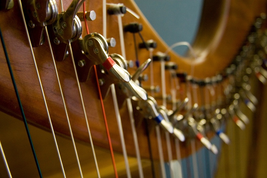 Il virtuosismo dell’arpista Eleonora Volpato al Museo della Gambarina