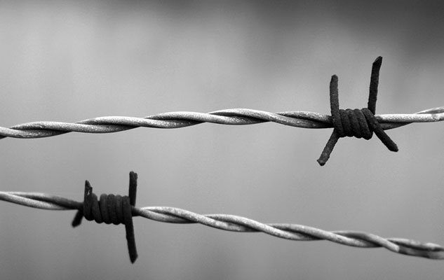 Giornata della Memoria: tutte le iniziative in programma in provincia