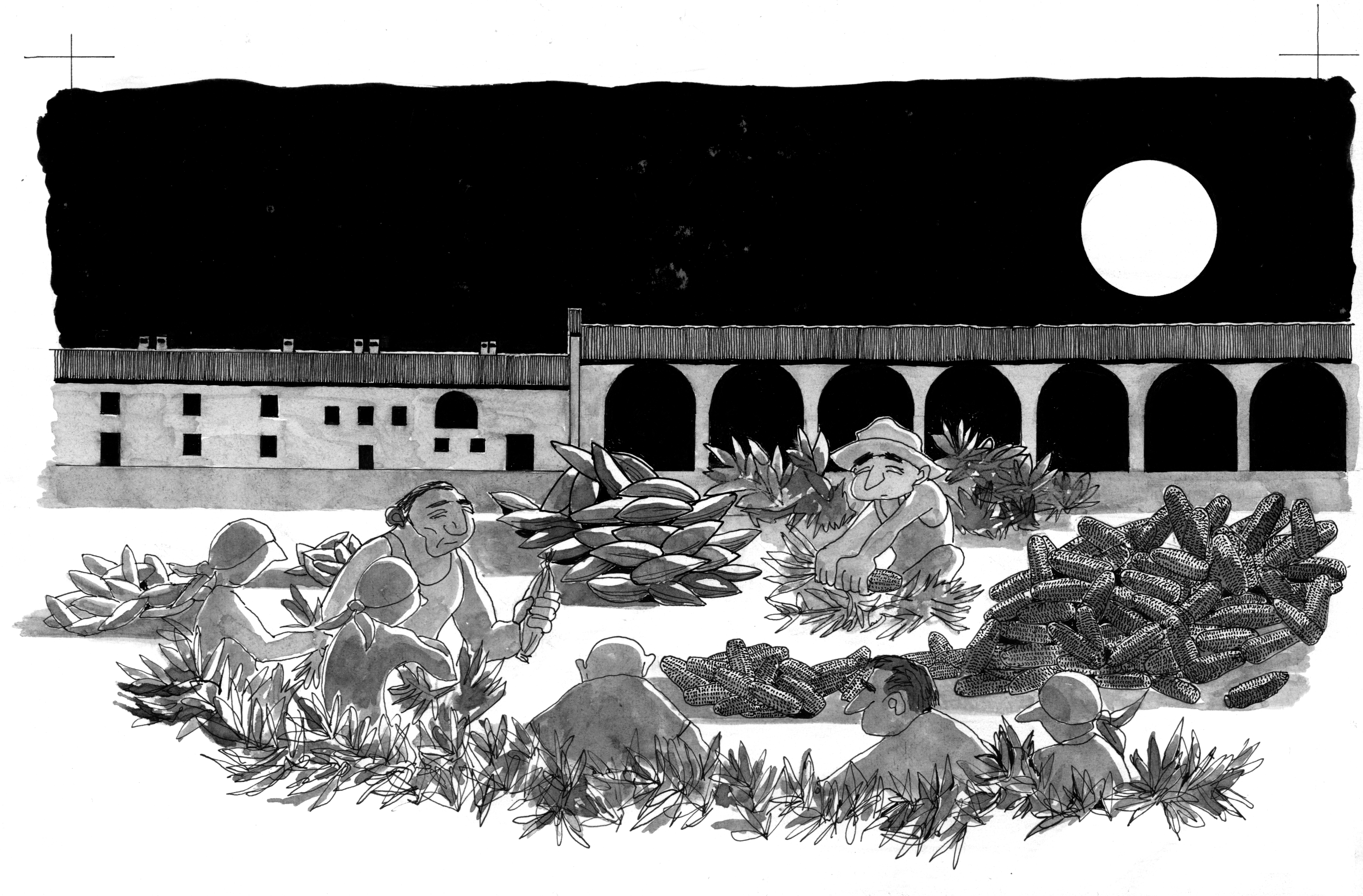 Una bella mostra di disegni per vivere un pezzo di storia di Valenza: il talento di Accatino da non perdere