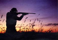Peste suina: divieto di caccia esteso ad altri Comuni fuori dalla zona infetta, ecco quali