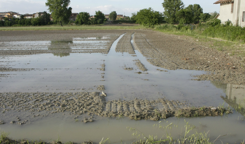 Dalla Regione un contributo per il pagamento degli interessi sui prestiti di conduzione delle aziende agricole alluvionate