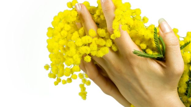 Più di un mese di eventi in rosa per il Marzo Donna ad Alessandria