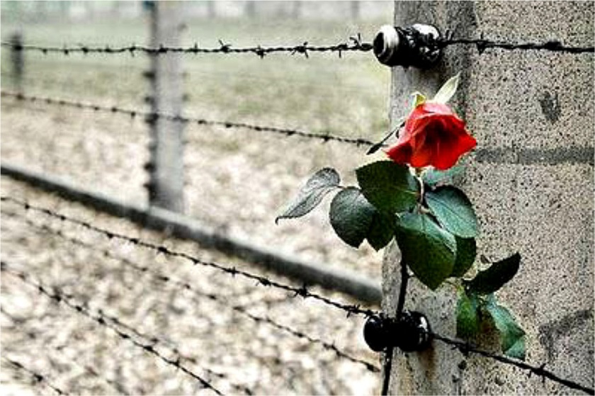 A Cultura e Sviluppo si parla di “Totalitarismo e Shoah”