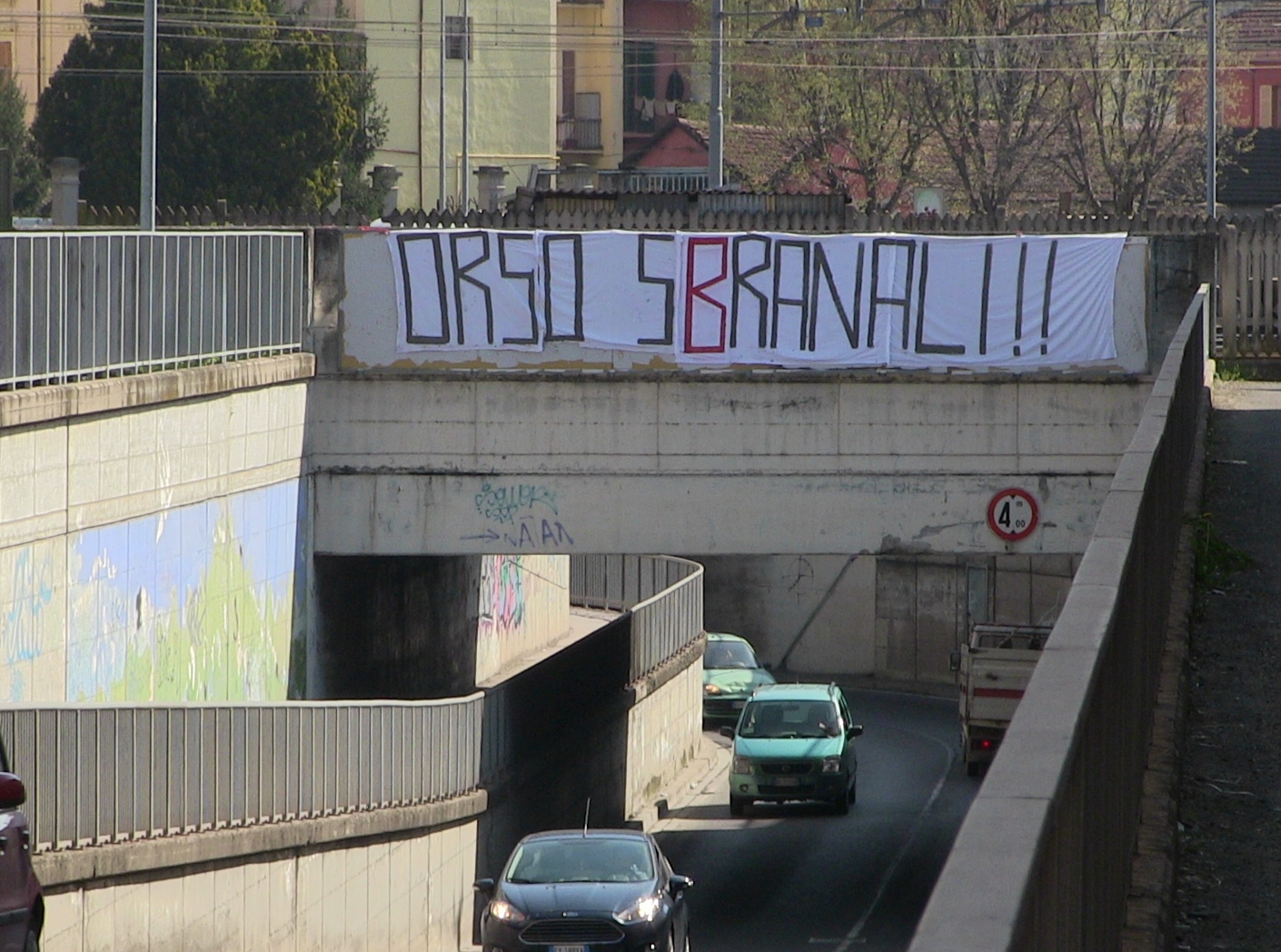 “Orso sbranali”: la febbre grigia sale sempre di più