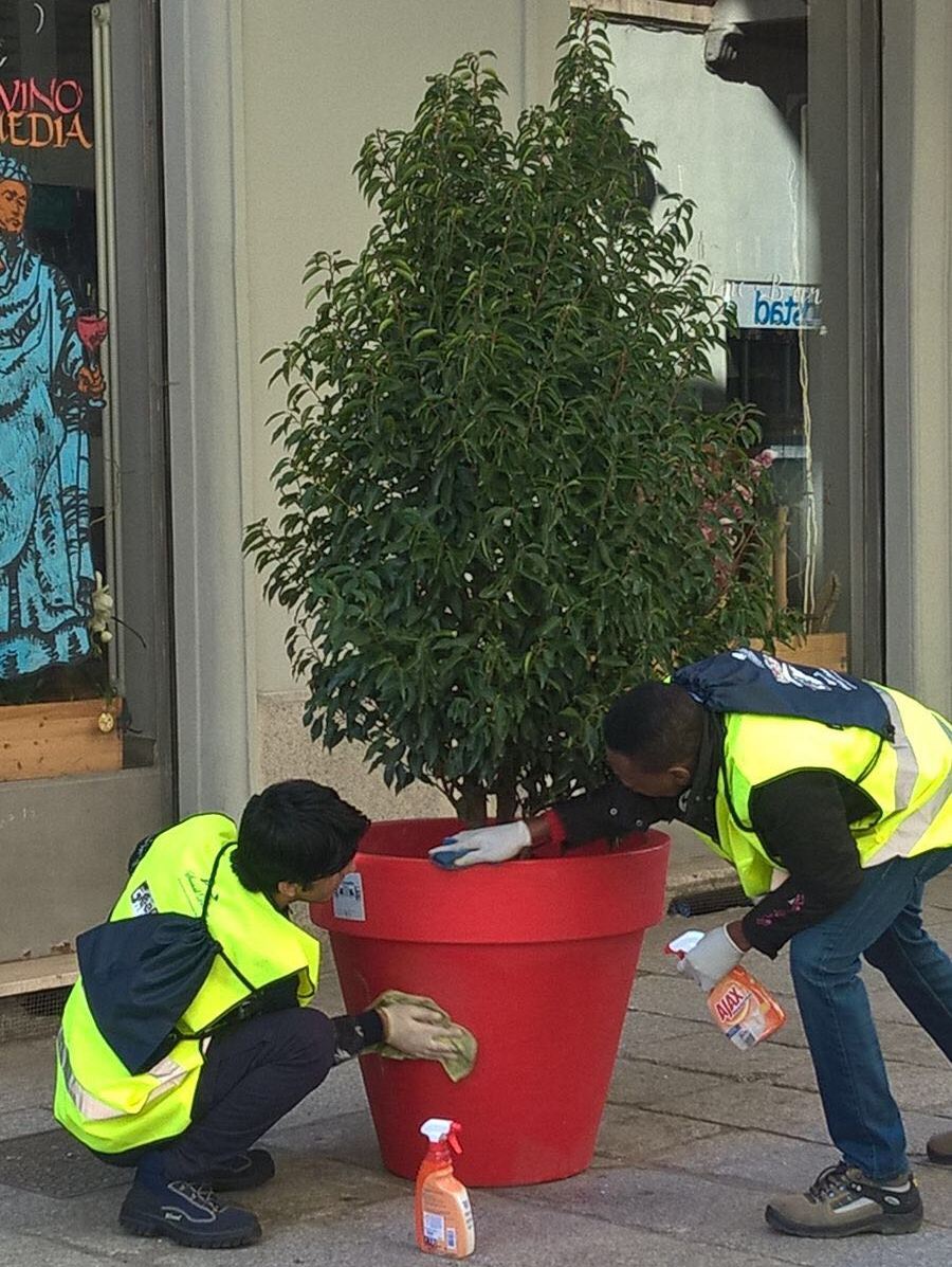 Green Design: ai migranti la cura dei 500 vasi del centro alessandrino