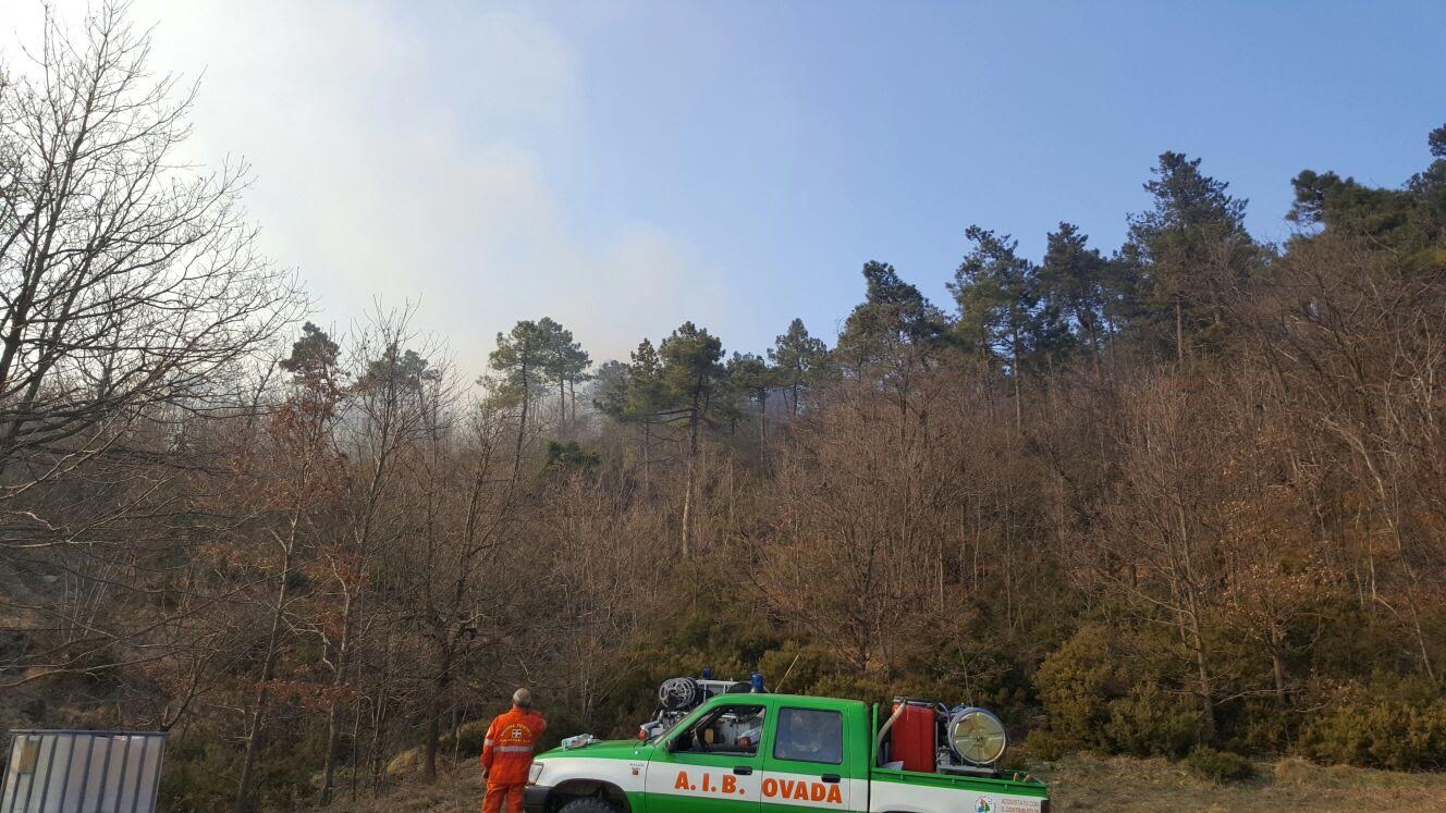 Vasto incendio di un bosco a Molare