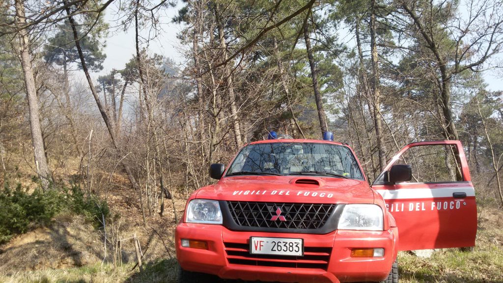 Di nuovo in fiamme l’area boschiva a Molare