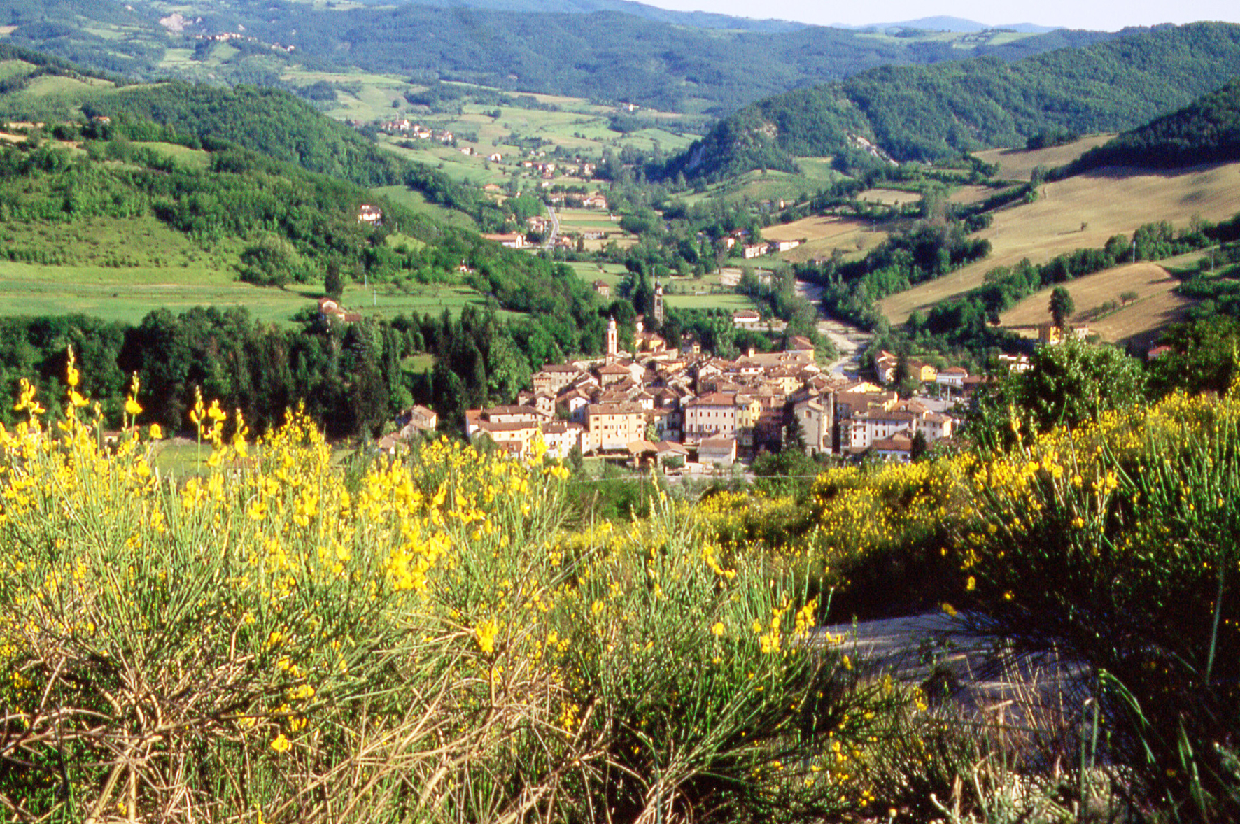 Gli eventi della domenica in provincia