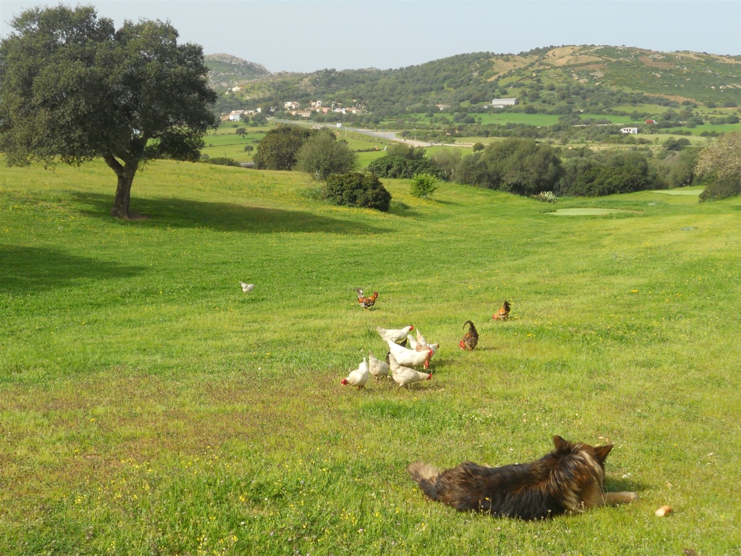 Gli eventi di Pasquetta in provincia
