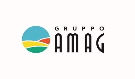 Amag: il Comune di Alessandria approva le modifiche allo statuto