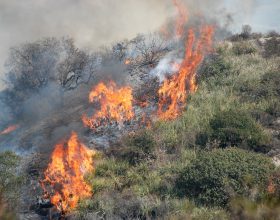 Revocato lo stato di massima pericolosità per incendi boschivi