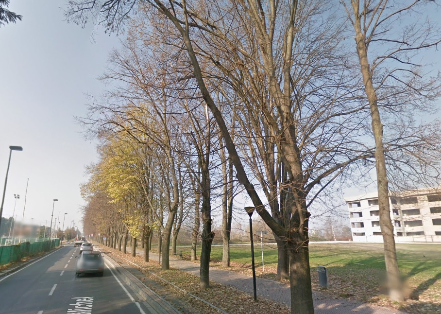 Aggrediti alle spalle e buttati a terra per rubargli le bici