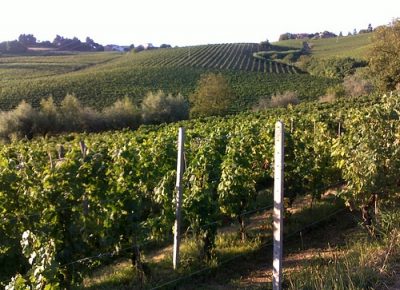 Travolge un operaio col rimorchio: denunciato un imprenditore agricolo