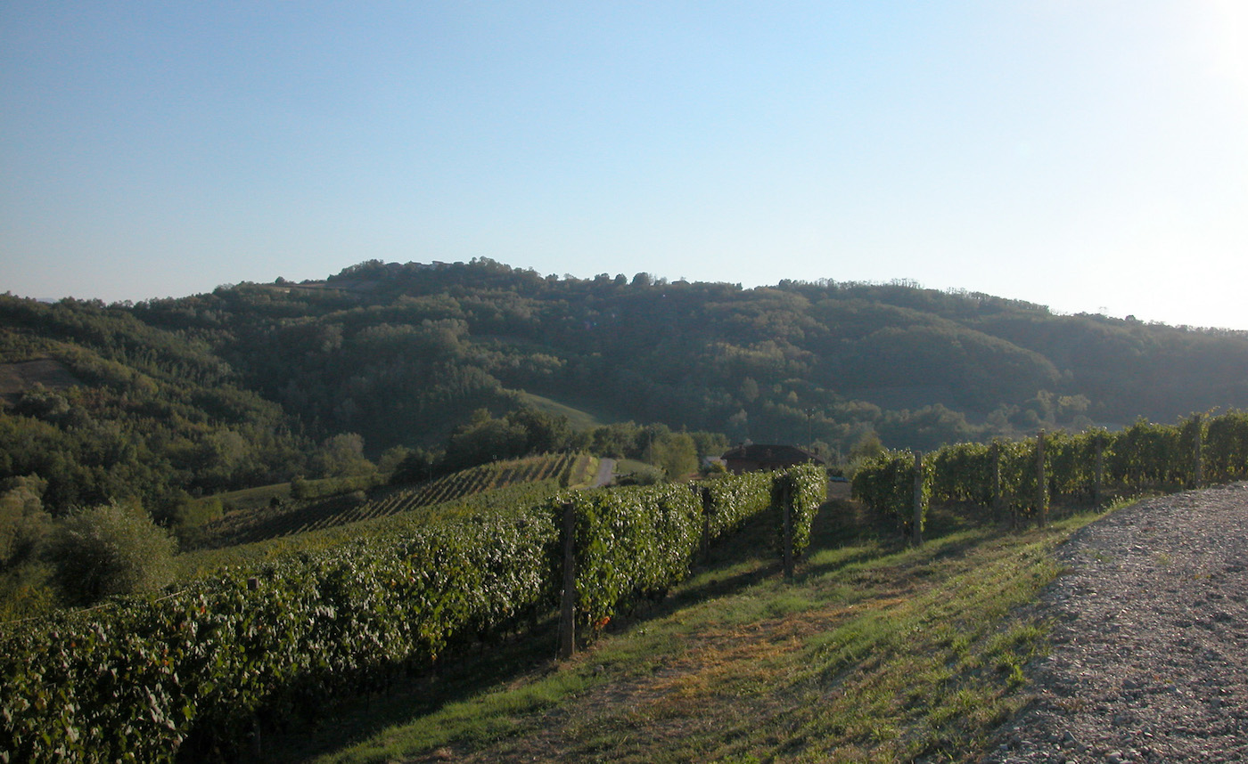 Un giro in cantina da Marina Coppi