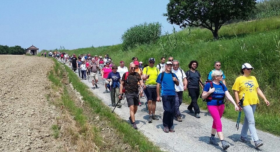 Gli appuntamenti della domenica in provincia
