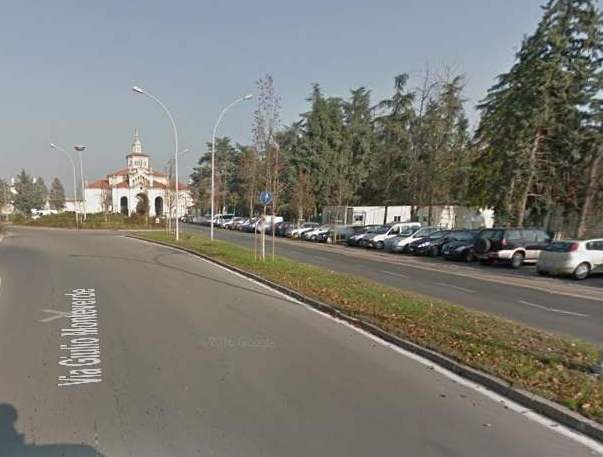 L’appello di una alessandrina: “Mi hanno rubato le ceneri del cane”