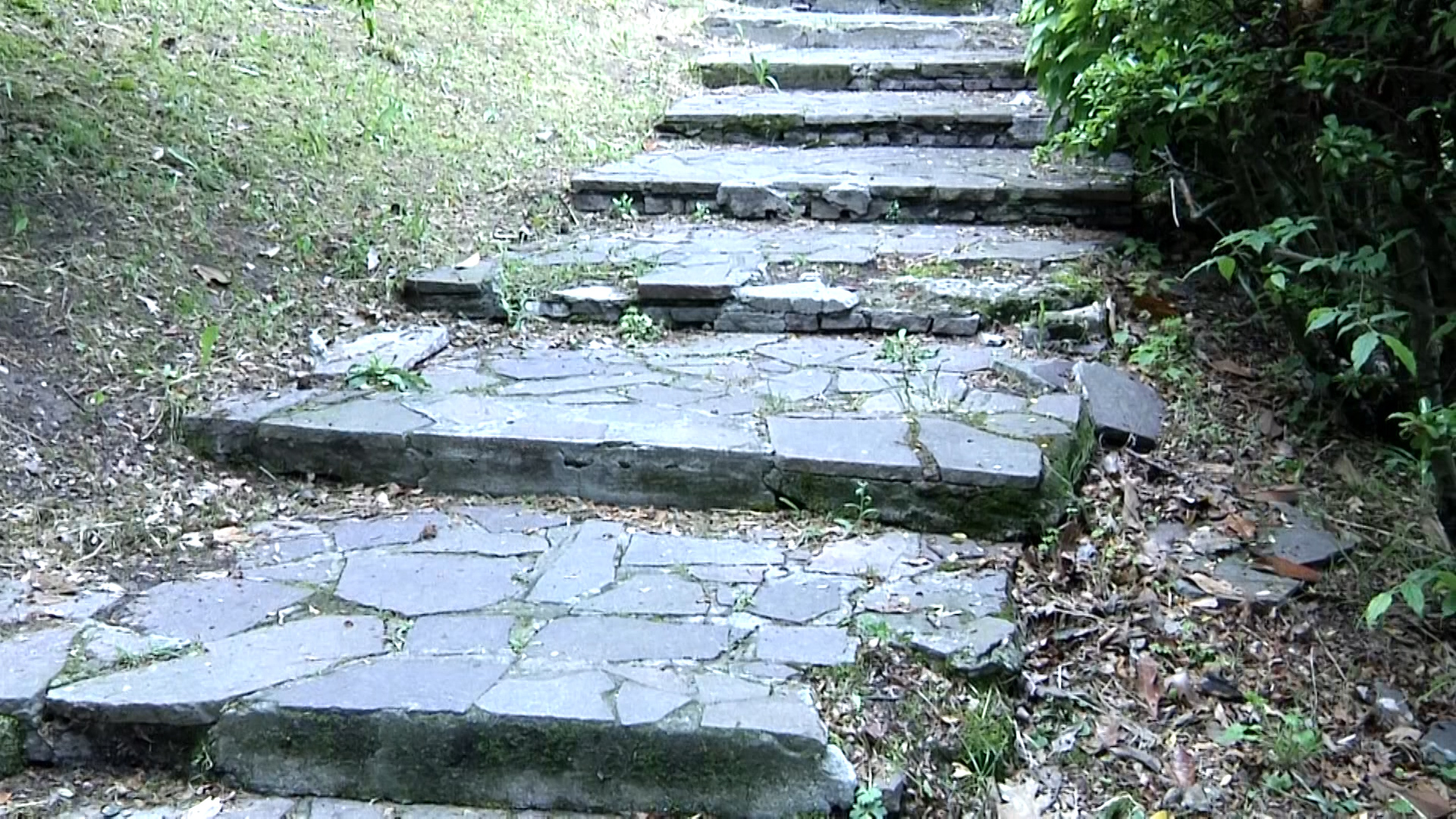 Far adottare i giardini di via Camurati per salvarli dal degrado