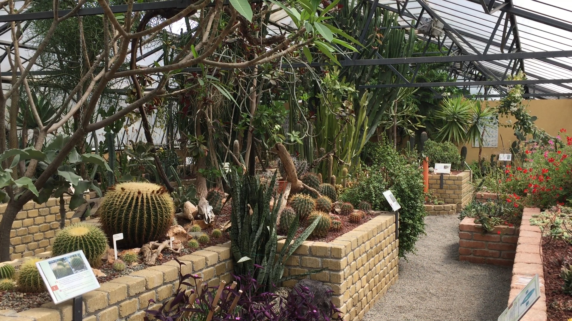 Scatta l’Alessandria Green Week: mostre e eventi al Giardino Botanico