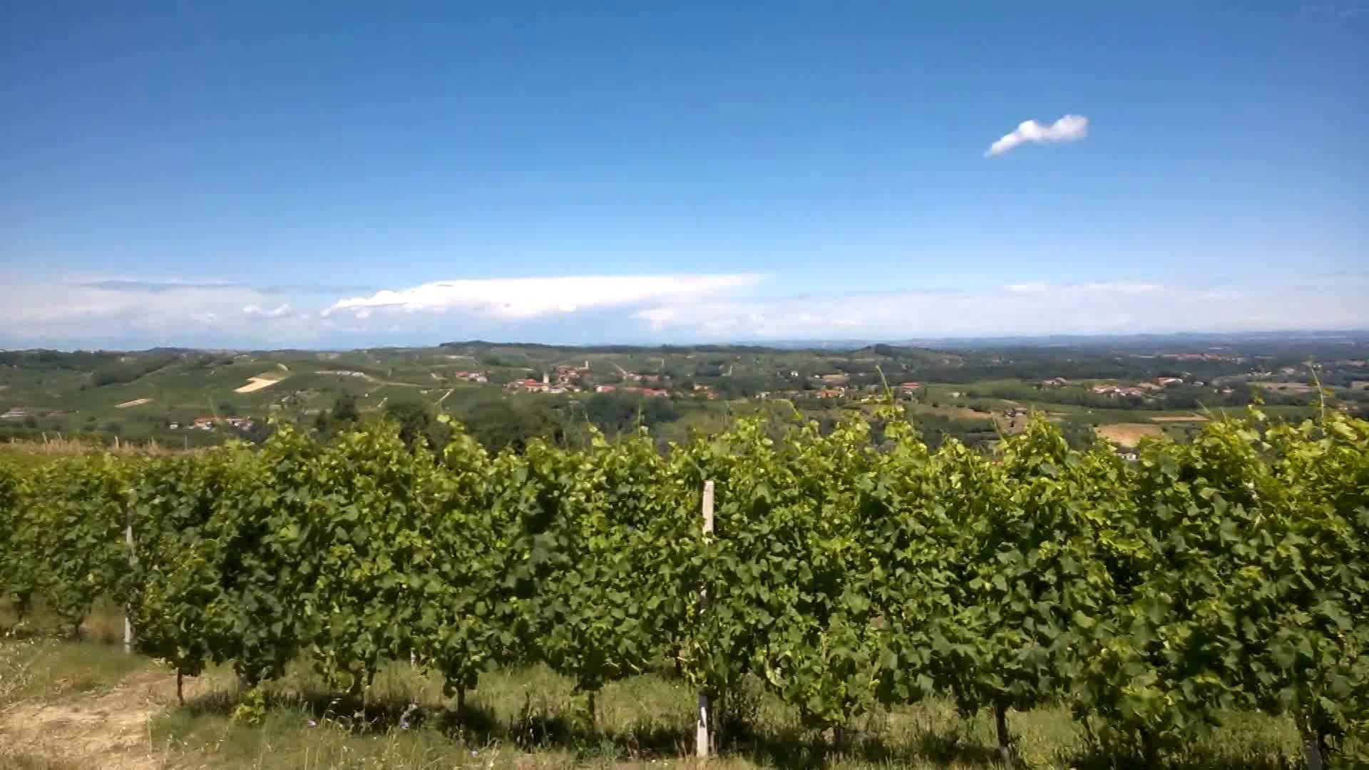 16° passeggiata Slow Food in Valle Bagnario a Strevi