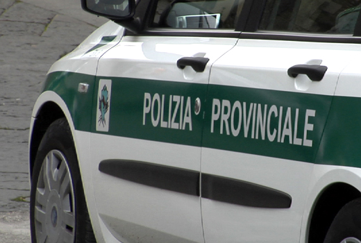 Dipendenti servizio vigilanza provinciale: nessuna delegittimazione