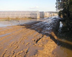 Alluvione: la Regione anticipa 300 mila euro per i danni alle serre