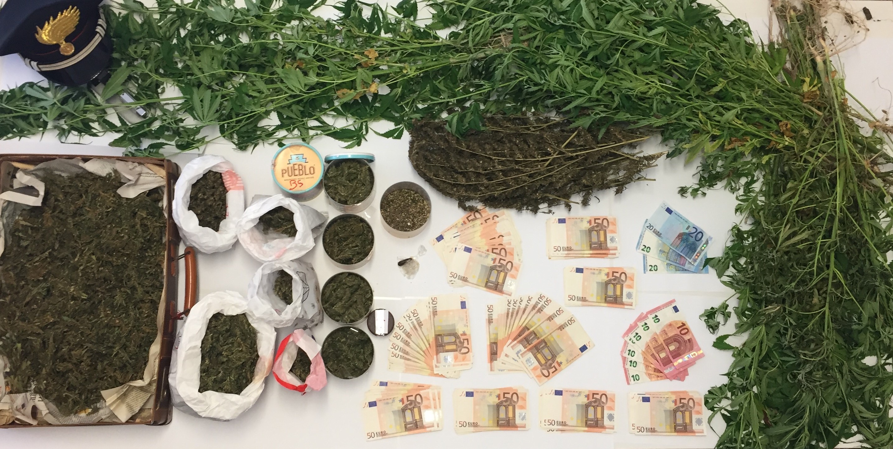 In giardino più di quaranta piante di canapa e 700 grammi di marijuana