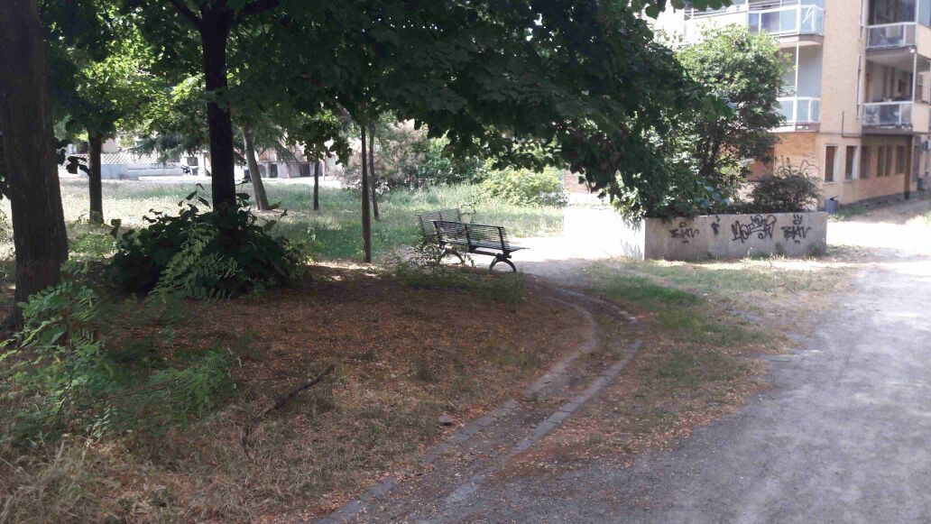 “Puliamo il parco Trecate”: alcuni valenzani si rimboccano le maniche