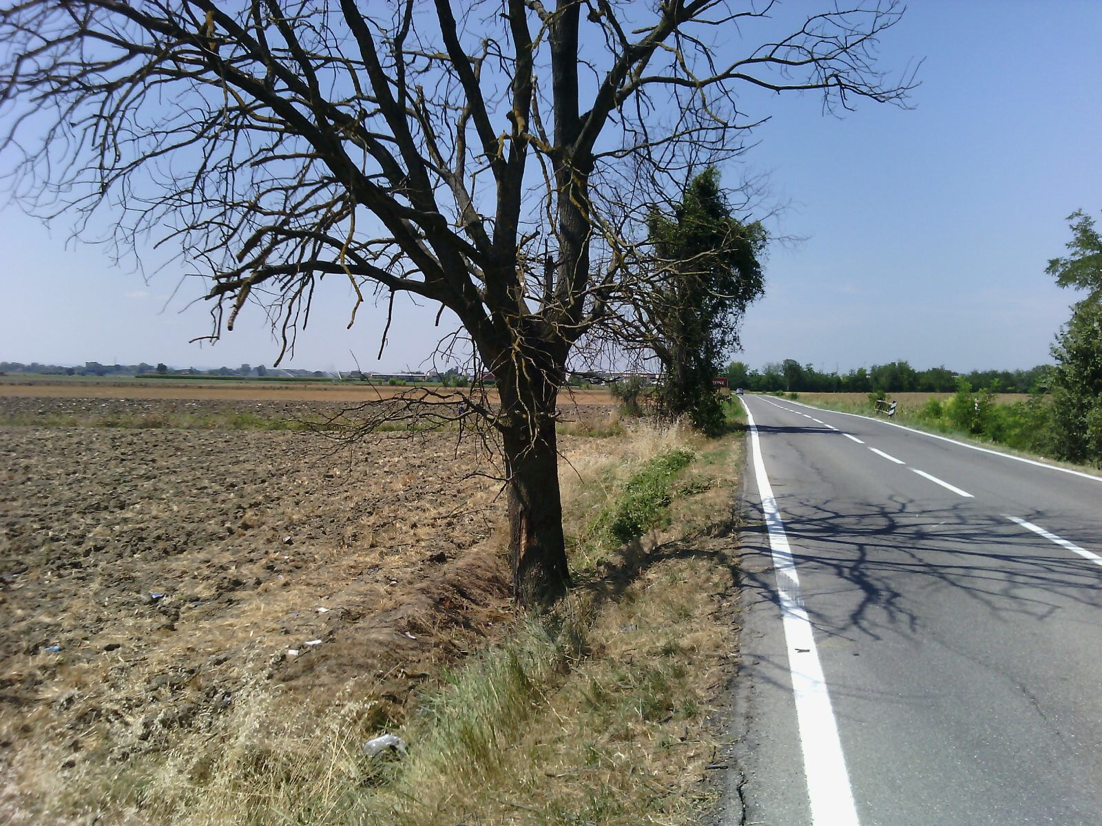Schianto contro una pianta: tre morti e un ferito grave a Pontecurone