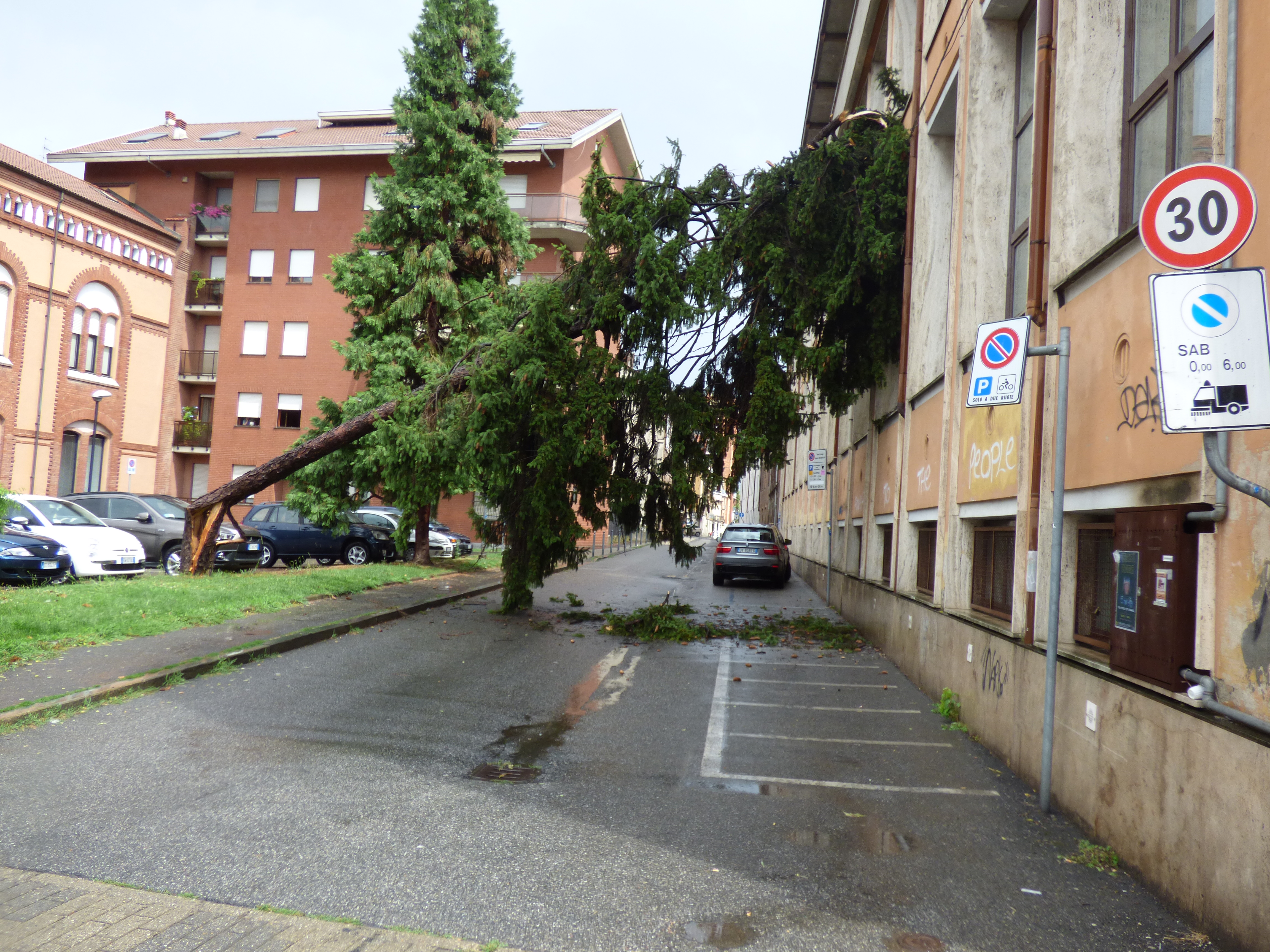 Alberi caduti e strade allagate per il violento temporale